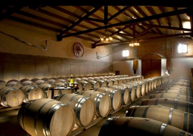 bodega con barricas